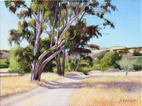 Summer Trail
	