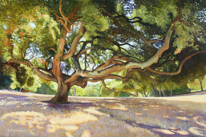 Summer Morning Shadows
	
