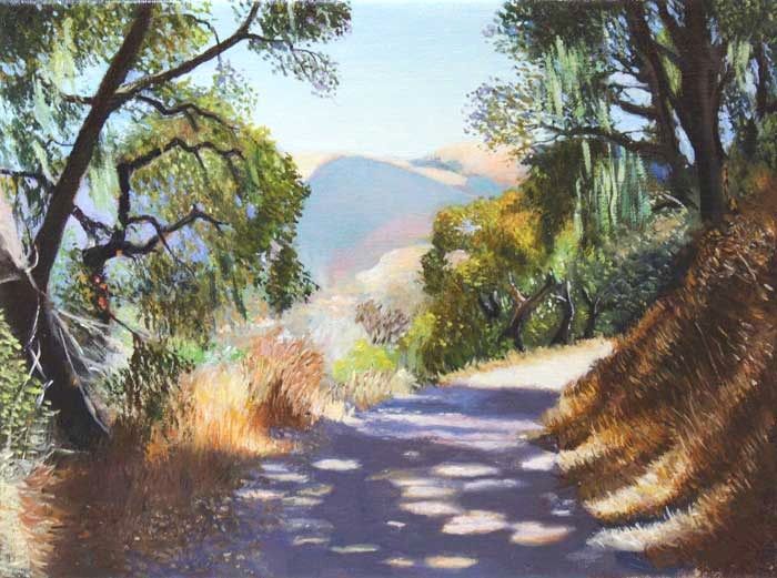 The Mesa Trail
	