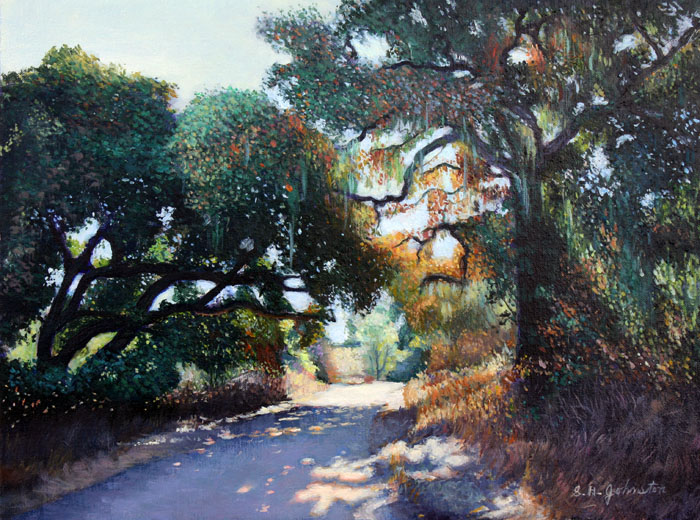 Dappled Sunlight, Garland Park
	
