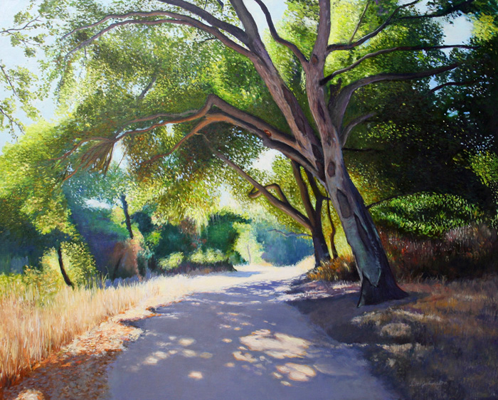 Enchanted Trail
	