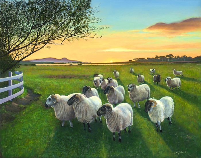 Days End at The Mission Ranch
	