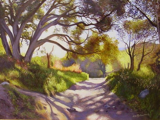 Afternoon Shadows
	
