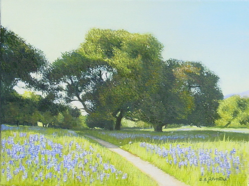 Lupines on the Meadow
	