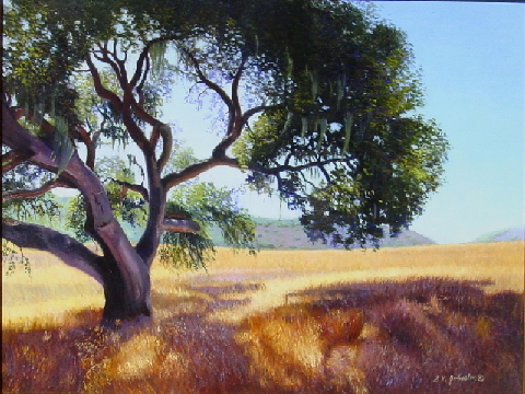 Summer on the Mesa
	
