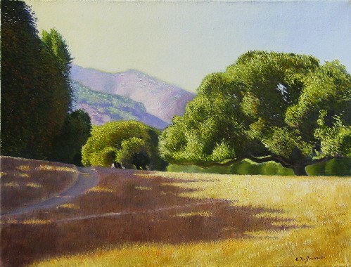 The Robles Meadow
	