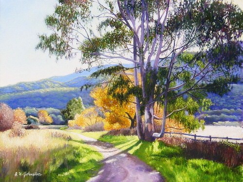 Autumn Shadows
	