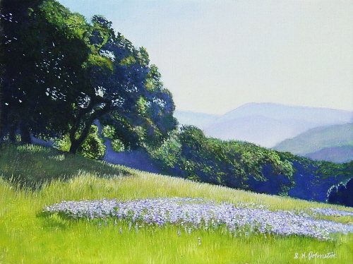 Robles Del Rio Spring
	
