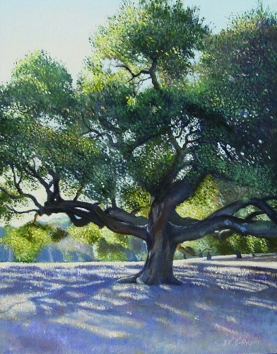 Morning Through the Oak
	