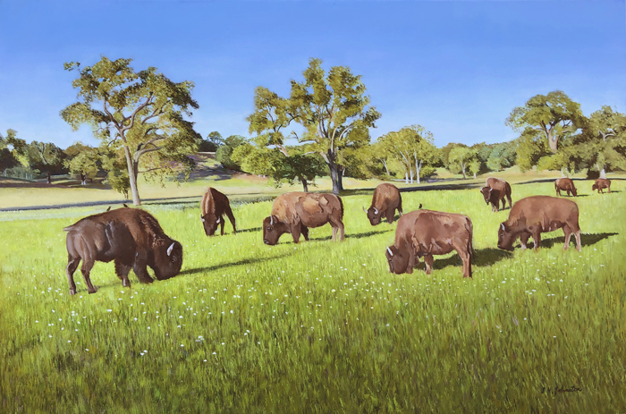 Buffalo Ranch
	