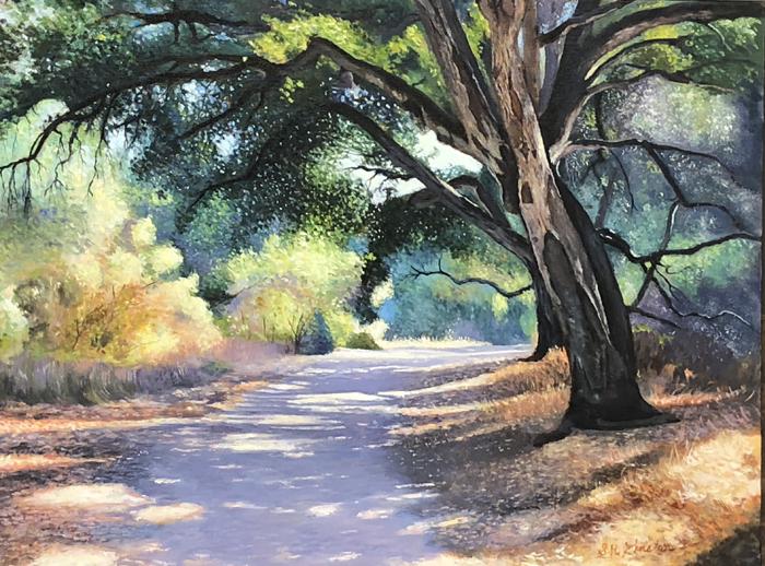 A Favorite Place to Walk
	