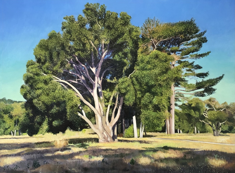 Morning Light, Palo Corona Regional Park
	