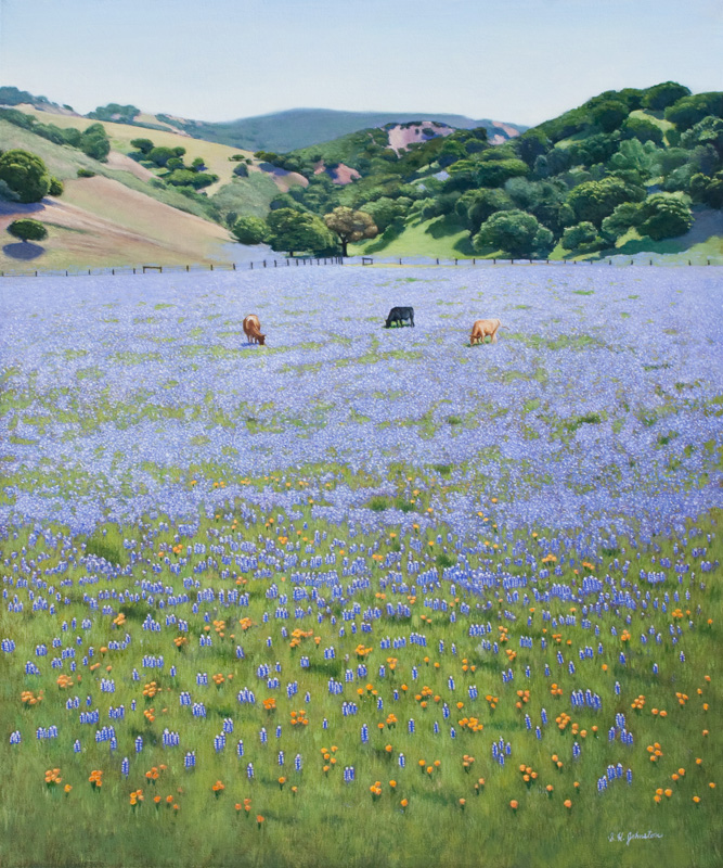 Lupine Field
	