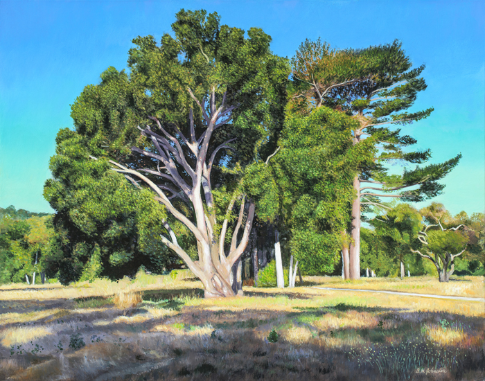 Morning Light Palo Corona Regional Park
	